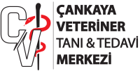 Çankaya Veteriner Kliniği | Antalya görseli