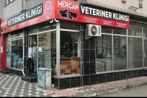 Akvet Veteriner Kliniği görseli