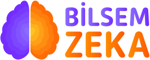 Bilsem Zeka görseli