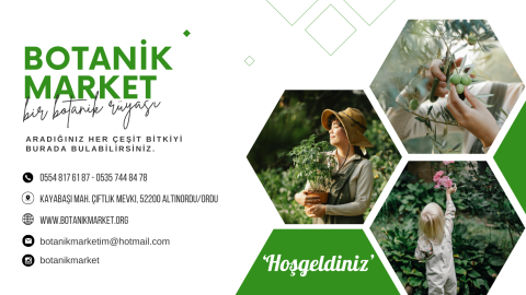 Botanikmarket.org görseli