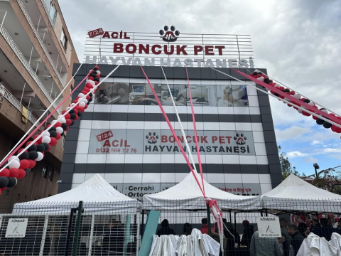 Boncuk Pet Hayvan Hastanesi görseli
