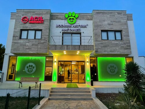 Bodrum Hayvan Hastanesi görseli