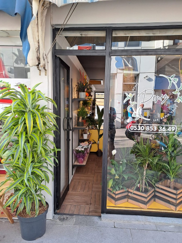 Deniz Çiçek Evi görseli