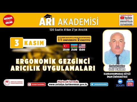 Arı Akademisi (ariakademisi.com) görseli