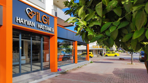Antalya Hayvan Hastanesi görseli