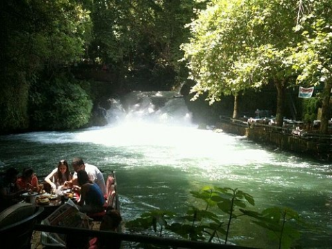 Arkadaş Alabalık Restorant görseli