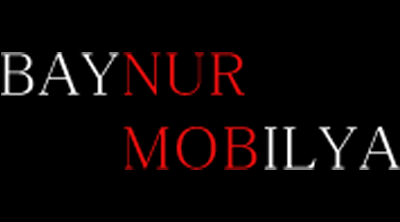 Baynur Mobilya görseli