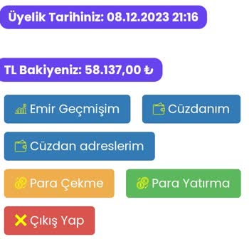 Btcryptofinans.com görseli