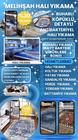 Antalya Halı Yıkama görseli