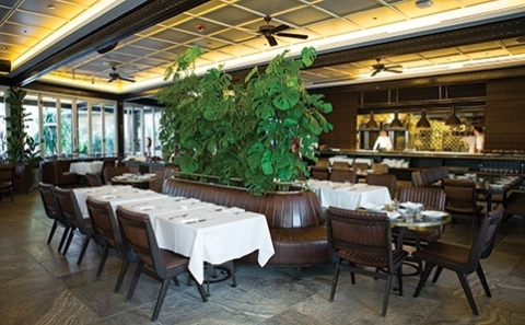 Eden İstanbul görseli