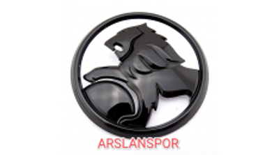 Arslanspor görseli