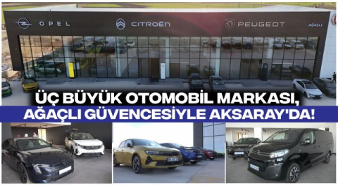 Ağaçlı Motorlu Araçlar görseli