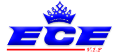 Ece Turizm görseli