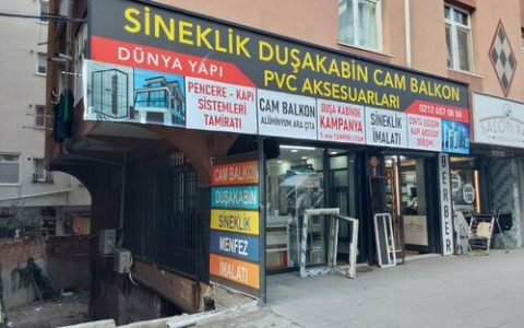 Dünya Sineklik görseli