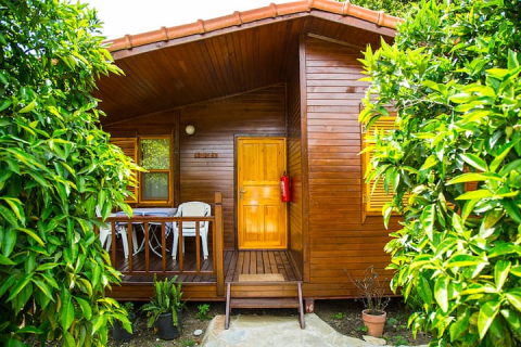 Citrus Bungalov görseli