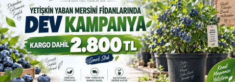 Bitkifidan.com görseli