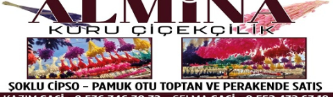 Almina Kuru Çiçekçilik görseli