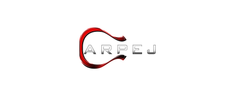 Arpej Müzik ve Dış Ticaret görseli