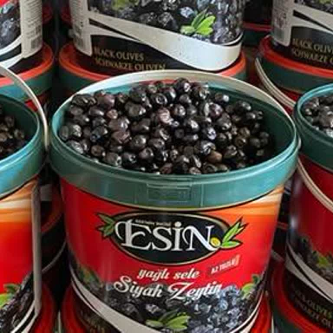 Esin Zeytincilik görseli
