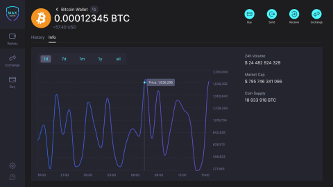 Coinwalletmax görseli