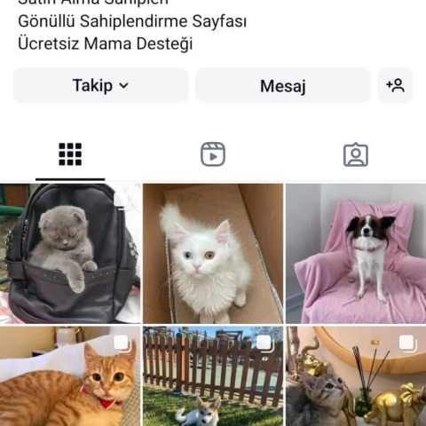 @mutlupatilerimm görseli