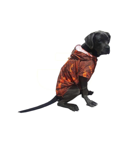 Dogtorin görseli