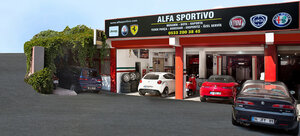 Carium Alfa Romeo görseli