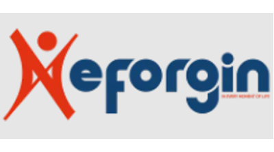 eforgin.com görseli