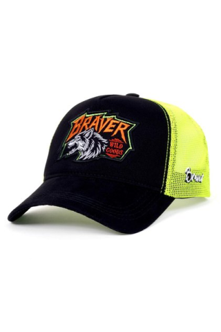 Braver Collection görseli