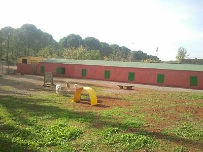 Antalya Köpek Oteli görseli