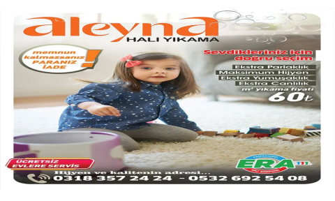 Aleyna Halı Yıkama görseli