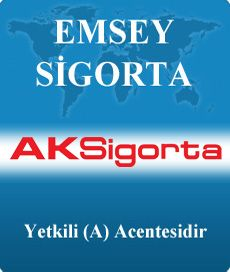 Emsey Sigorta görseli