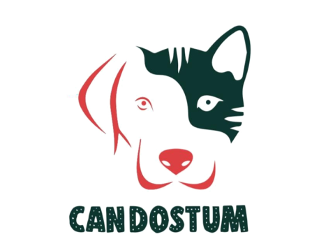 Candostum Veteriner (Eskişehir) görseli