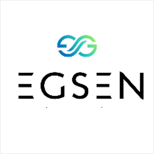 Egsen Ticaret görseli