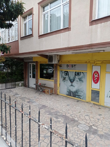 Dost Veteriner (İstanbul) görseli