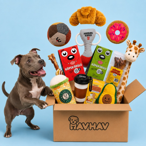 Havhav.com.tr görseli