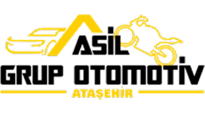 Asil Grup Otomotiv görseli