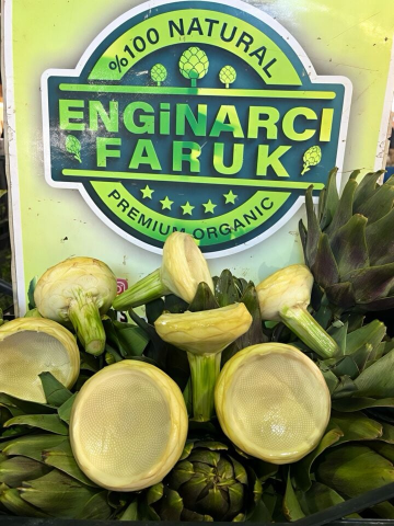 Enginarcı Faruk görseli