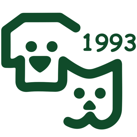 Cat Hospital görseli