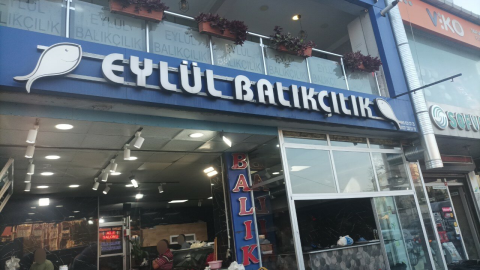 Eylül Balıkçılık | Sancaktepe görseli