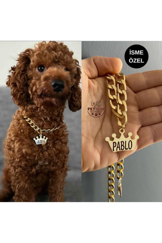 Doggie Pet Aksesuarları görseli