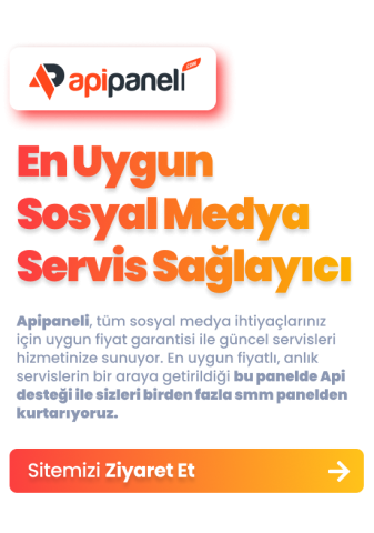 Apipaneli.com görseli