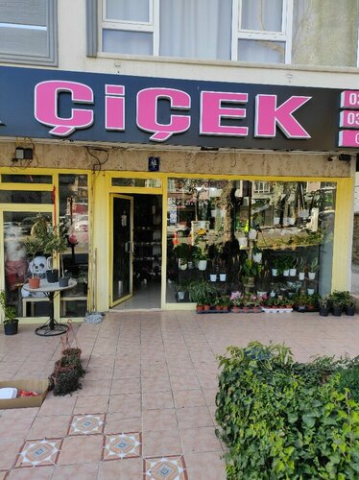 Gürçiçekcilik görseli