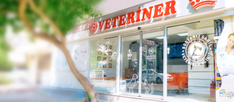 Bostanlı Veteriner görseli