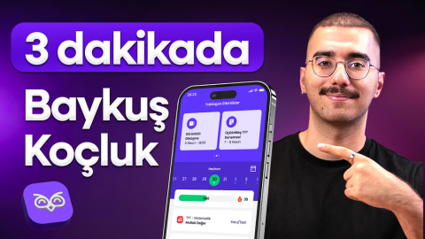 Baykuş Mentörlük görseli
