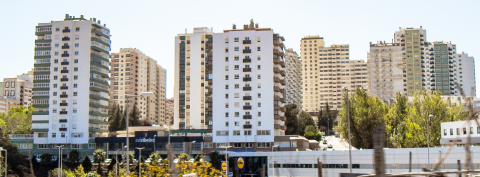 Amadora görseli