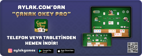 Aylak.com görseli