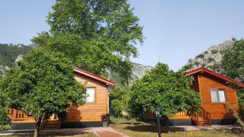 Asya Bungalov görseli