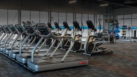 City Fitness görseli