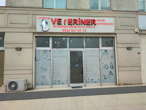 Antorium Veteriner Kliniği görseli